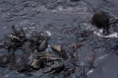 От Половинного осталось немного, или Пересохшее озеро Новосибирска